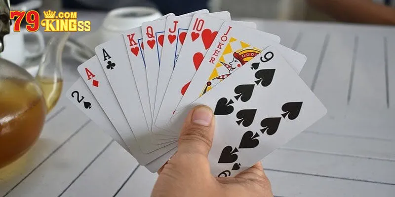 Game Bài Catte - Cách Chơi Đơn Giản Cho Newbie Nhập Môn